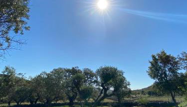 Casa La Rocita - Foto 5