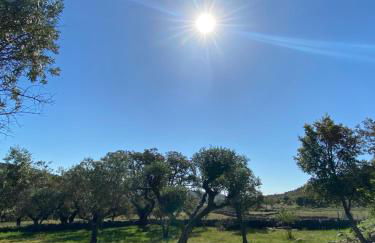 Casa La Rocita - Foto 5