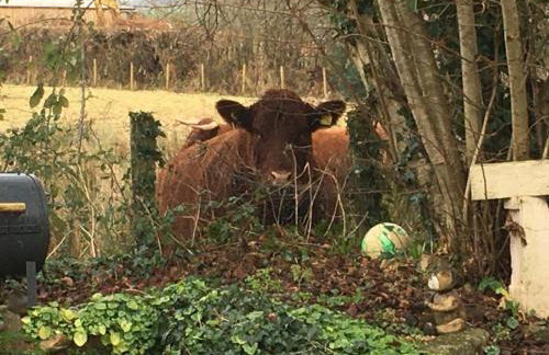 The Garret 1 Bed Apartment-Free Parking-Balcony - Foto 26