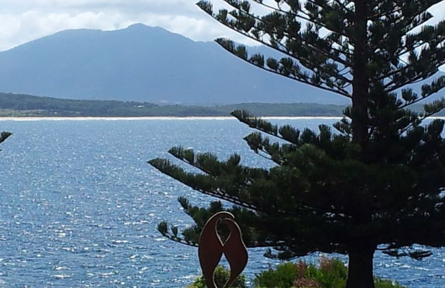 Art on Hart - Foto 24