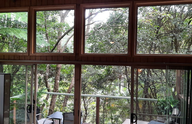 Treetops Accommodation Montville - Photo 39