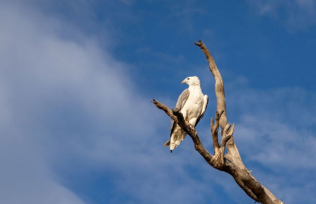 Cloudy Creek Cottage - Foto 7