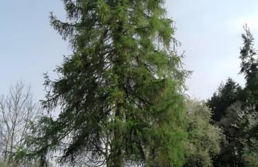 Le 115 Retour aux Sources - Foto 29