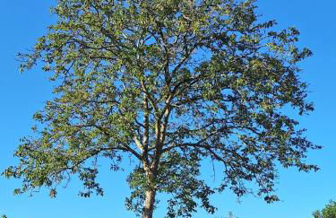 Casa da Nogueira - Foto 51