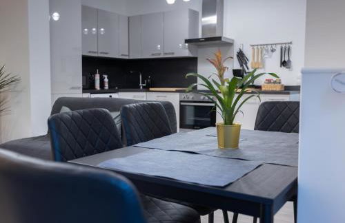 Stilvolle Wohnung in Aachen Brand mit Terrasse - Foto 8