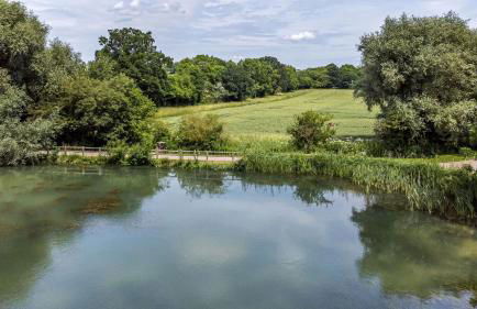 The Tunnel at Bridge Lake Farm and Fishery - Foto 46