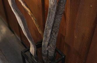 Sequoia Glen - Foto 17