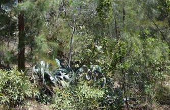 PUSHE Village Las Gaviotas Nature & Relax - Foto 7