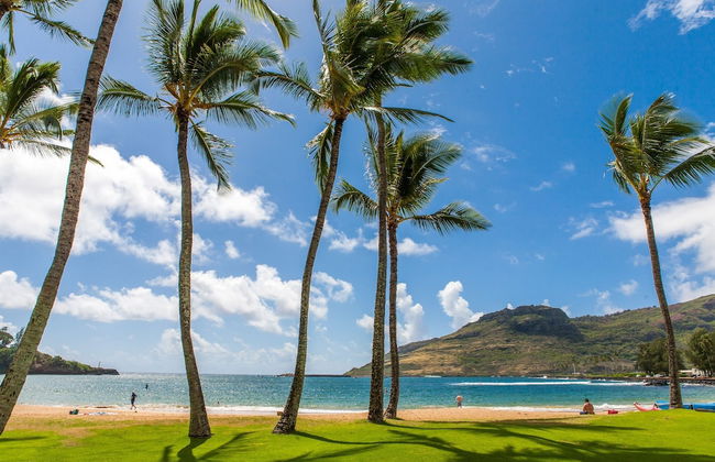 Malu Kauai, A Beautiful Kauai 1 Mile From Kalapaki Beach 1 Bedroom Home by RedAwning - Foto 12