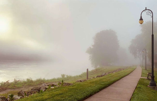 Zia New Haven - Photo 24