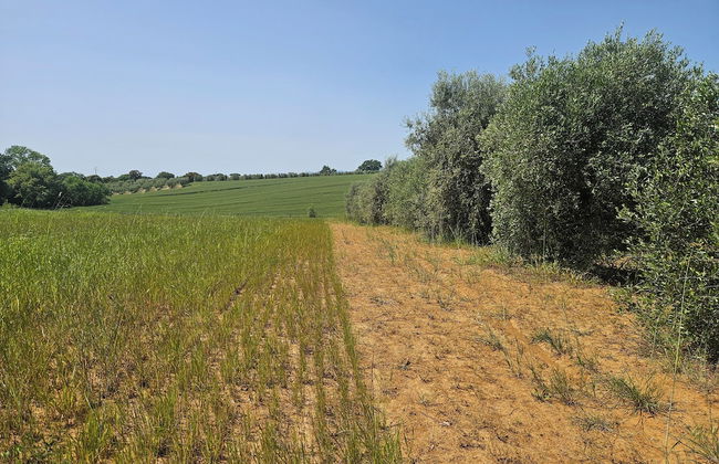 Agriturismo Il Migliarino - Foto 25