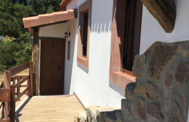 Casas no Terreiro - Photo 50