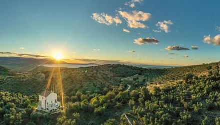 Torre Bruno - Foto 2