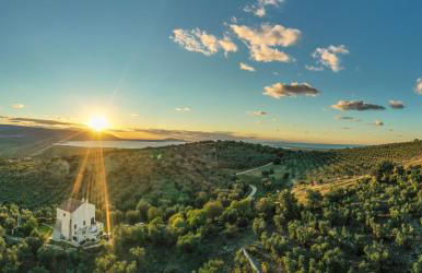 Torre Bruno - Foto 2