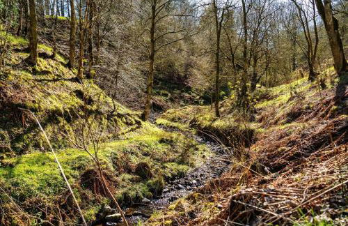 Black Barony Home Farm Cottage - Foto 18