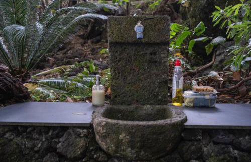 Quinta de São Caetano - São Miguel Açores - Photo 77