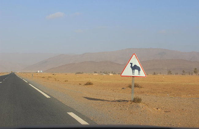 1 notte nel deserto da Agadir - Foto 9