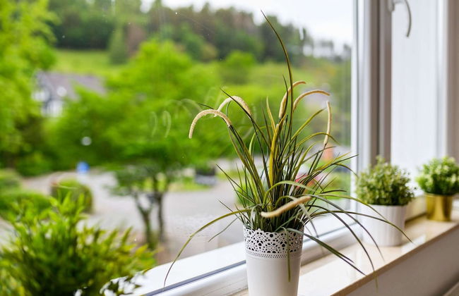 Ferienhaus Bergfreiheit - Foto 29