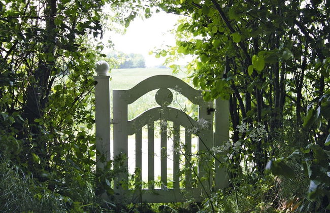 House in Damp Near Baltic Sea Beach - Foto 18