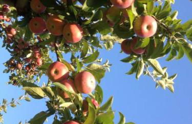Play All Day - Sleep By The Stream at Night - Swimming Hole - Foto 29