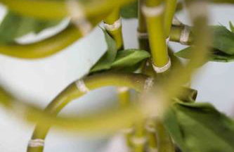 Stunning City centre Georgian townhouse - parking - Foto 21