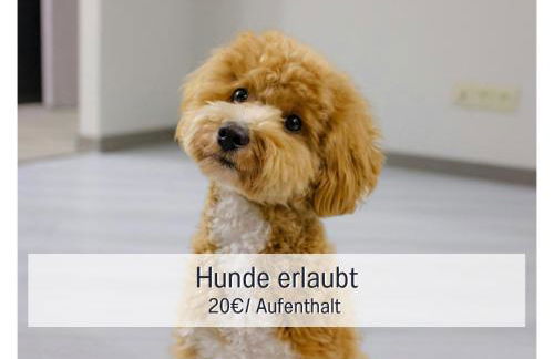 Apartment, close to Europa Park, Alsace, Black Forest, family friendly, dogs allowed - Foto 8