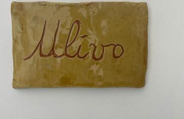 TENUTA TAURIANUM PanoramicHouse e PanoramicB&B - Photo 11