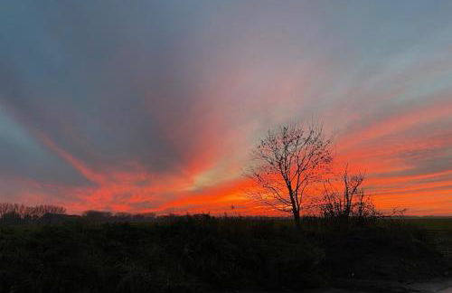 Ferienwohnung an der Elde - Foto 43