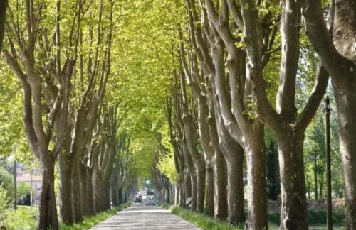 Holiday Home FERIENHAUS- FERIENHAUS MAISON DE LAVANDE - LAVENDELHAUS by Interhome - Foto 39