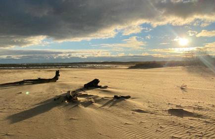 Piaskowa 13 - Apartamenty dla Podróżujących bez Dzieci - Foto 32