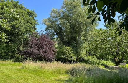 Tetenbüllerbü - immer schulfrei! - Foto 31