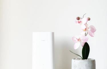 Lovely 1 bedroom apartment in South East London - Foto 30