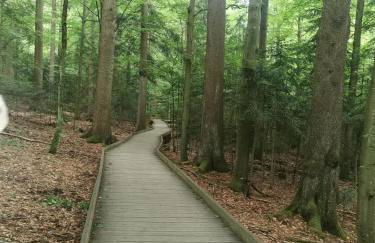 AnNo - Wohlfühlen am Bachal in Altschönau - Foto 40