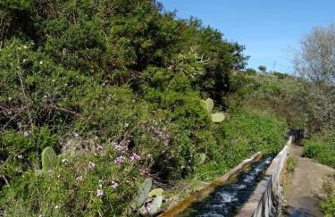 Casa Canaria Tradicional Rosalía - Foto 22