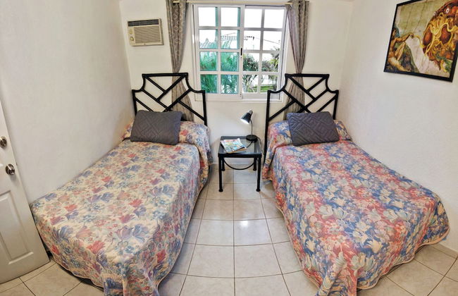 HominngBird - Foto 5