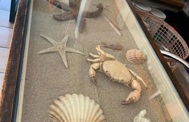 Conero-Alba al Mare-Bilocali Adiacenti e V i s t a Mare - Foto 28