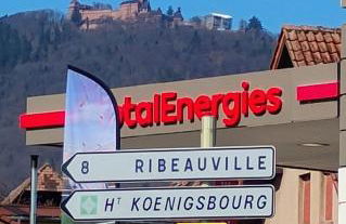 Gîte Le Marronnier, parking et terrasse au calme, entre Colmar-Riquewihr et Obernai, vue sur espaces verts et coteaux d Alsace, route du vin-châteaux - Foto 58