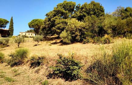 Nocini di Maremma - Photo 36