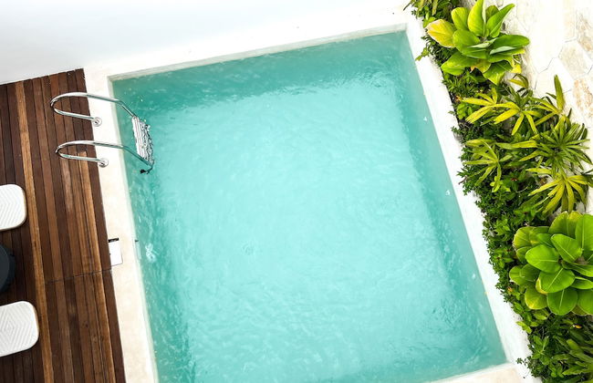 Botanique Villa & Studio - Photo 69