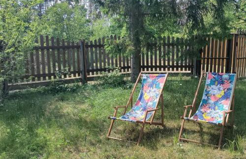 Widny Jaś zaprasza z psem nad jezioro na Kaszubach - Foto 12