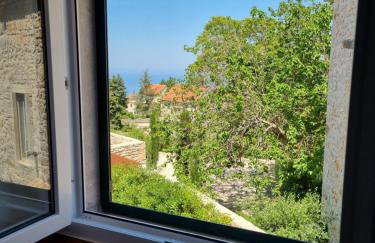 Apartman Meli in village Brusje - Foto 28