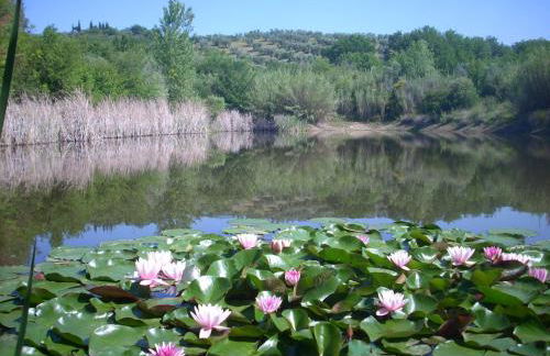 Marrucheto - Foto 14