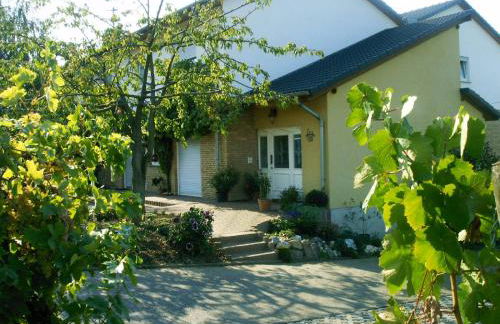 Weingut & Gästehaus Andreas Erz - Foto 6