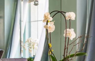 Glamorous Regal Design Home with Private Patio and Garage - Foto 12