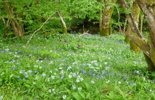 Hendre Aled Cottage 3 - Photo 7