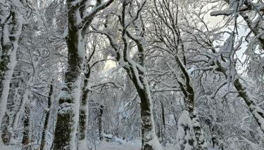 L'Escargot - Maison avec espace bien être privatif - Foto 5