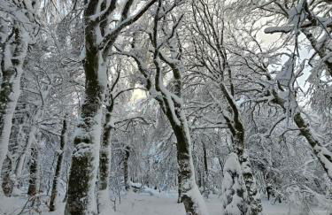 L'Escargot - Maison avec espace bien être privatif - Foto 5