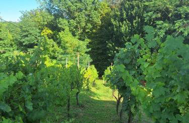 Drvena bajka - Photo 31