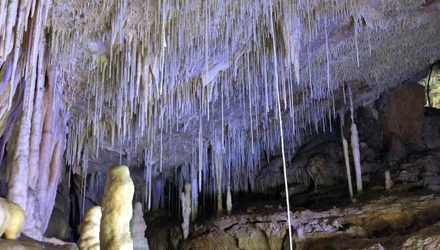 Admission Tickets to the Caves of Campanet: Nature and Magic - Foto 2