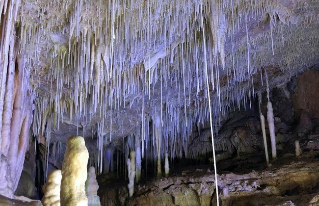 Admission Tickets to the Caves of Campanet: Nature and Magic - Foto 2